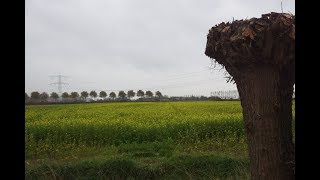 Weerbericht maandagochtend: Bewolkt met regen