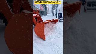 【北海道あるある】⑤大雪が降ったら除雪車が大活躍する真冬の北海道☃️ 北海道旭川市✨  #ninjya #shorts #旭川市 #雪 #雪化粧 #雪景色 #真冬 #北海道あるある #除雪車