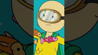 Caillou Saves A Turtle