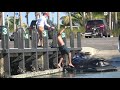 bro your outboard is hitting the dock miami boat ramps 79th