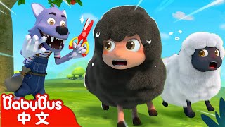 大灰狼剪羊毛 Baa Baa Black Sheep+更多 | 農場動物兒歌 | Farm Animals | 車車兒歌 | 卡通 | Cartoon | BabyBus | 寶寶巴士