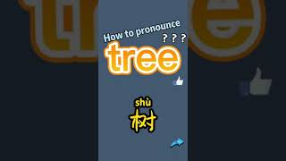 How to pronounce tree? What does tree mean in Chinese?tree的讀音和釋義?tree翻譯成中文漢語是什麼意思？“樹”翻譯成英語是tree