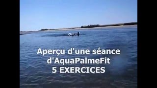 Aperçu d'une séance AquaPalmeFit  5 exercices