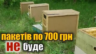 Ціна на бджолопакети 2024