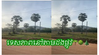 ទេសភាពនៅតាមដងផ្លូវ