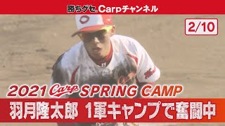 【カープ沖縄春季キャンプ】羽月隆太郎 ただ今1軍キャンプで奮闘中！