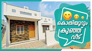 3 Cent | കുറഞ്ഞ വിലയ്ക്ക് കൊതിയൂറും കുഞ്ഞ് വീട് | 800 sqft | By Dipin Surendran