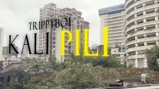 TRIPPYBOI - KALI PILI (prod . SOMIL BEATS ) | OFFICIAL TEASER