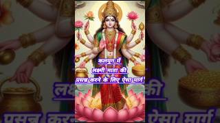 श्री माता लक्ष्मी की पूजा।Worship of Shri Mata Lakshmi@Sunil43k#See.. More