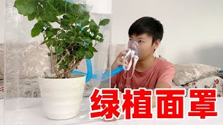 奇葩小伙制作绿植面罩，粉丝 -氧气只吸现产的？