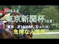 東京新聞杯２０２４　消去データ＆危険な人気馬編　　過去１０年の消去データと危険な人気馬の動画です。　発送直前ですが、お時間あればご覧ください。。。最後にきさらぎ賞の最終予想も！！