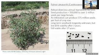 Herbicide Resistant Palmer Amaranth Biology and Control