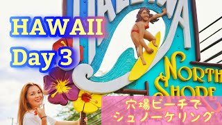 【HAWAII】ハワイ ハレイワタウン人気スポット巡り\u0026ガイドブックに載ってない穴場ビーチでシュノーケリング！