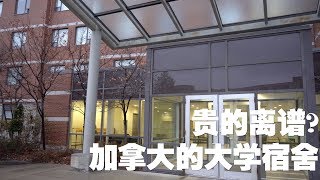 1100刀每月!! 在加拿大大学宿舍居住是一种什么体验??