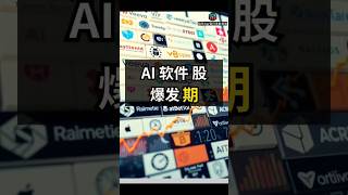 07/12/2024 AI软件股爆发期