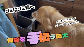 【褒める大切さ】やる気を褒めてると…何でも覚えて進化する愛犬ホットくん