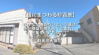 【道にまつわる珍百景】なかなか進めないという道は、赤い標識が映える「止まれ」密集エリアだった！ 群馬県大泉町