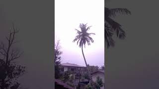 ඉන්න තැනත් අමතක වුණා අකුණු සැරට lightning effect #shrots 😱😱😱🥶🥶😬😬