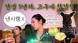 고구마 악령이 든 개. 퇴마 시급 | Vlog | 30대 신혼부부 브이로그 | 반얀트리 | 메타 마케팅 데이 | 지바겐 | G63 | 용산 씨네드쉐프 | 수산물시장 | 대게