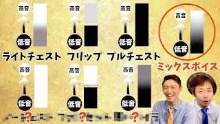 あなたの歌声はどれ？４ボイスタイプ分析でミックスボイスを目指せ！【ボイトレの知識③】