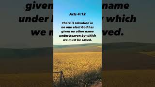 Acts 4:12 | Bible Verse #shortvideo #jesus #inspiration