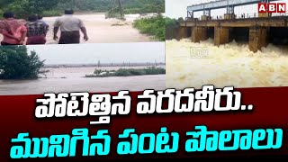 Weather Updates:పోటెత్తిన వరదనీరు..మునిగిన పంట పొలాలు | Farms Submerged In Rain Water | Yelluru |ABN