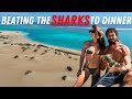 LOBSTER CATCH AND COOK | Shark Encounters | Whale Shark | Ningaloo Coast | South Lefroy