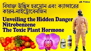 বিষাক্ত উদ্ভিদ হরমোন-নাইট্রোবেনজিন /Unveiling the Hidden Danger Nitrobenzene The Toxic Plant Hormone