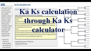 how to calculate Ka Ks value | kaks calculator |synonymous and nonsynonymous substitution rate kaks