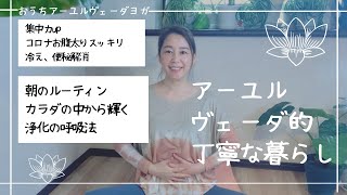 朝のデトックス呼吸カパラバティ/美容健康のためのアーユルヴェーダ的丁寧な暮らし/モーニングルーティンヨガ/カパ体質向け