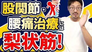 【腰痛治療】股関節痛にも効果的な梨状筋のほぐし方について