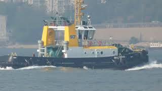 Tugboat《SHANGHAI》Sailing to Rambler Channel 20241229