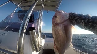 ΦΑΓΚΡΙ (Red Snapper, slow pitch jigging) - live strike!!!