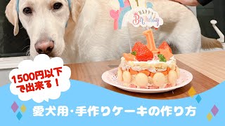 犬用ケーキの作り方 ラブラドールレトリバー1歳の誕生日お祝い 大型犬用