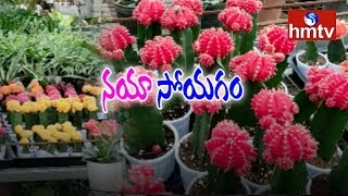 పూలను తలపిస్తున్న ఎడారి మొక్కలు  | Desert Plants Like Flowers | hmtv