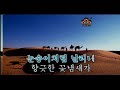 태진미디어 wow 5000 과수원길 05301