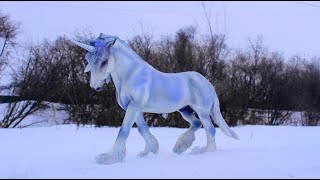 ЛОШАДИ ЗИМОЙ В СНЕГУ!ЗИМНИЙ ВЛОГ С ЛОШАДЬМИ БРЕЕР-БРЕЙЕР-ЕДИНОРОГ,АРАБСКИЙ КОНЬ,ПОНИ!Breyer HORSES