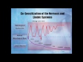 biofeedback and migraines