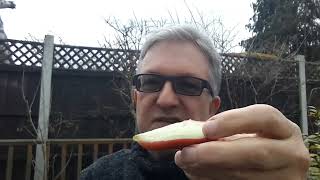 Tasting the giant Thai Wax Apples / Wax Jambu bought at Borough Market