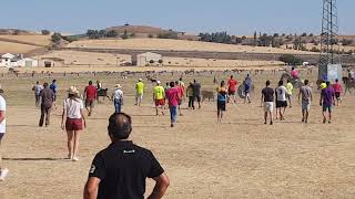 ESPANTES 2019,FUENTESAUCO, domingo,más de lo mismo