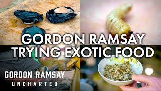 Gordon Ramsay Trying Exotic Food | Part Two | Gordon Ramsay: Uncharted