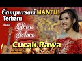 Anisa Salma - Cucak Rawa '' Campursari Terbaru