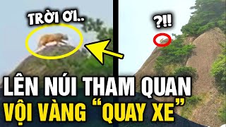 Đang đi tour leo núi, du khách 'RÉN NGANG' khi phát hiện CHÚA SƠN LÂM đang chào đón | Tin 3 Phút