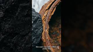 He Found an Iron Pot Inside 320-Million-Year-Old Coal and Signed an Affidavit