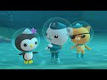 @octonauts the lost sea star full episode 32 @kidzuko