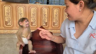 Baby Monkey David Gets Angry At Mom For Funny Reasons