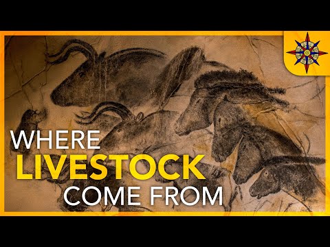 Who founded animal husbandry?