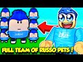 I Got A FULL TEAM OF RUSSOPLAYS PETS In YouTube Legends Simulator!!