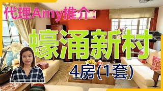 【#代理Amy推介】蠔涌新村 5房(1套)