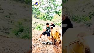 این پسر برای برنده شدن ببین چیکار میکن #دانستنی #کلیپ #جالب #فکت #shortvideo #sports #شورتس #shorts